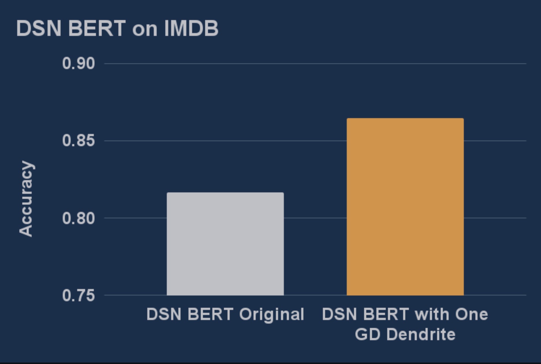 DSN BERT on IMDB