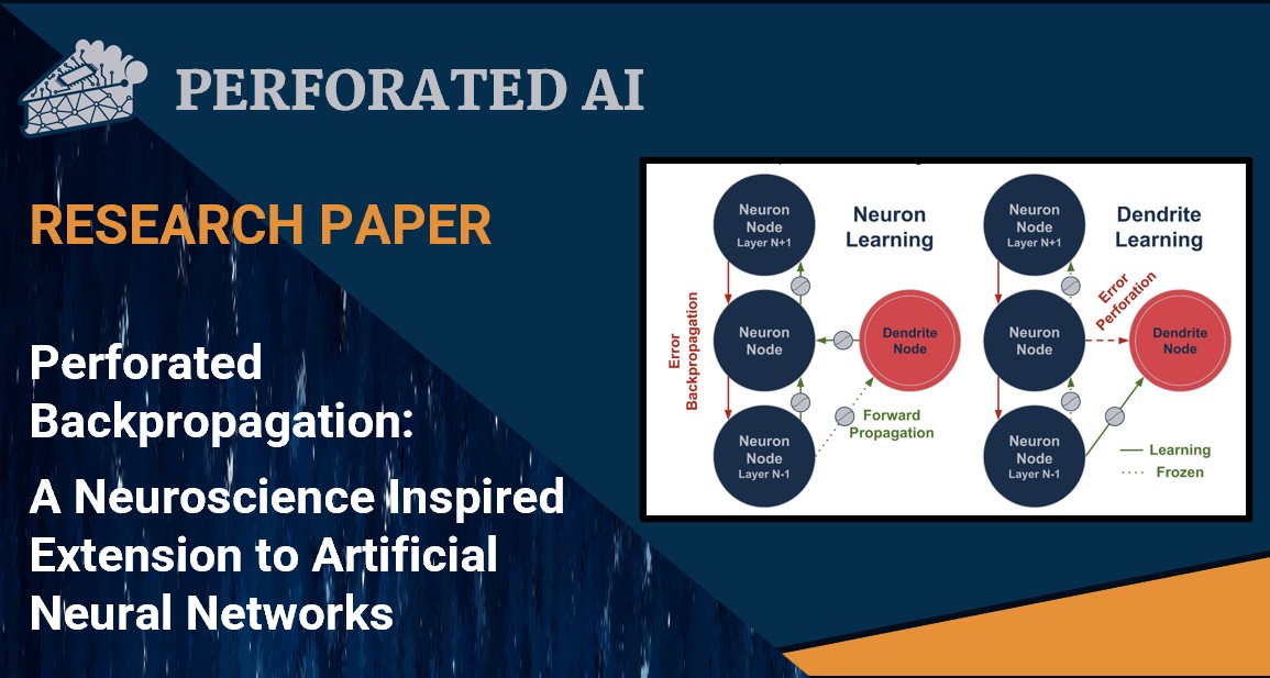 Perforated Backpropagation Research Paper