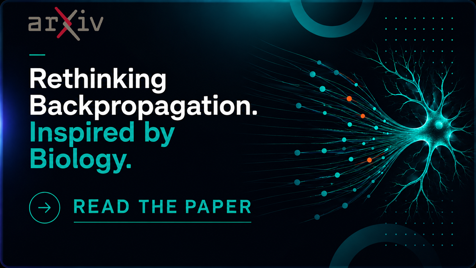Rethinking Backpropagation. Inspired by Biology. preview
