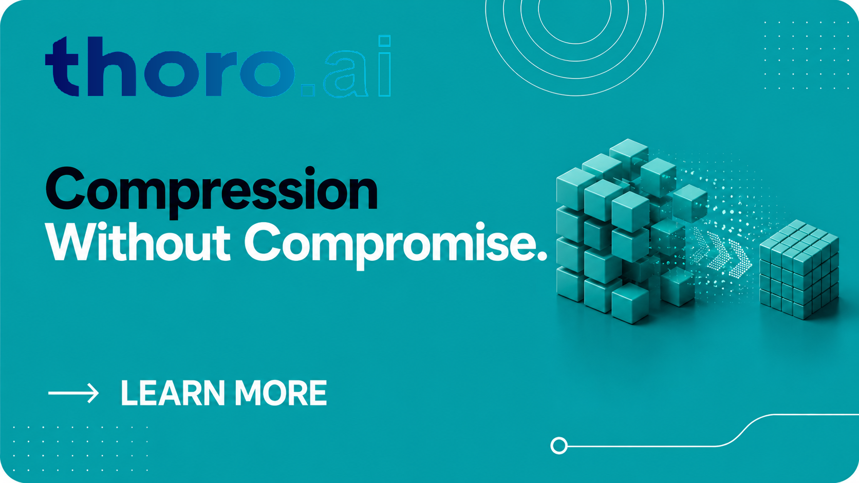 thoro.ai: 70% smaller models with higher accuracy preview