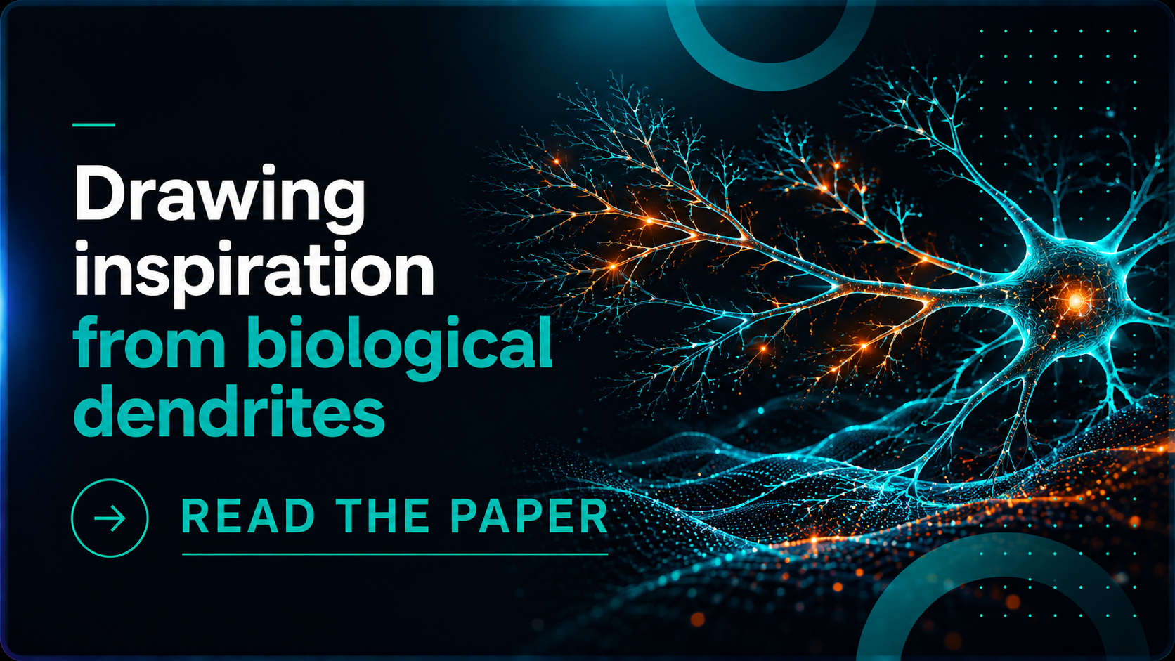 Drawing inspiration from biological dendrites preview